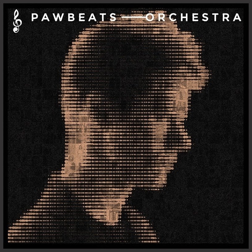 Bluza Patriotic CLS Shoulder czarno grafitowa + CD Pawbeats - Orchestra Gratis!